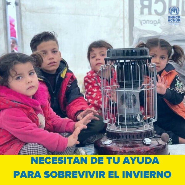 Necesitan de tu ayuda para sobrevivir el invierno