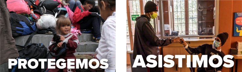 Protegemos y asistimos Protegemos y asistimos